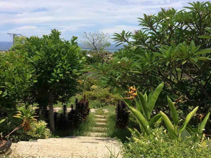 Bali Natur โลวินา ภายนอก รูปภาพ