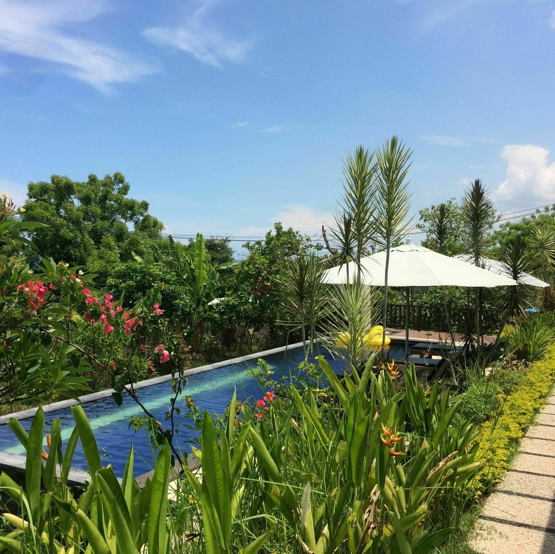 Bali Natur โลวินา ภายนอก รูปภาพ